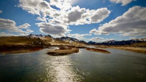 November 13th Missouri River Fishing Report