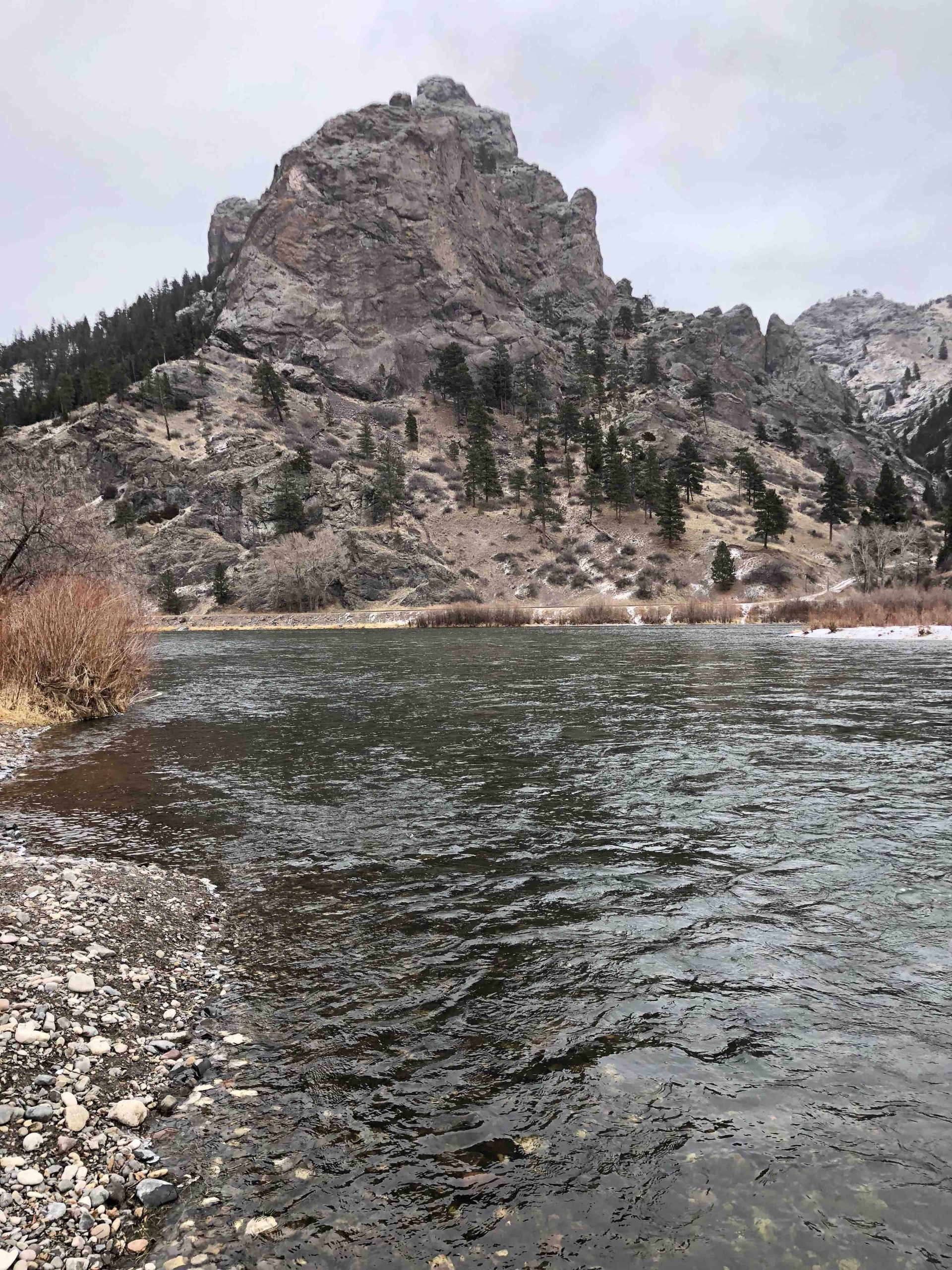 January Spey Report from Richard