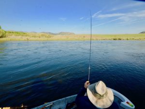 Comprehensive Monday Missouri River June 3rd Fishing Report