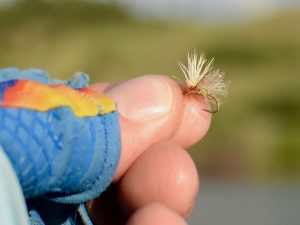 Friday Missouri River Fishing Forecast July 19th