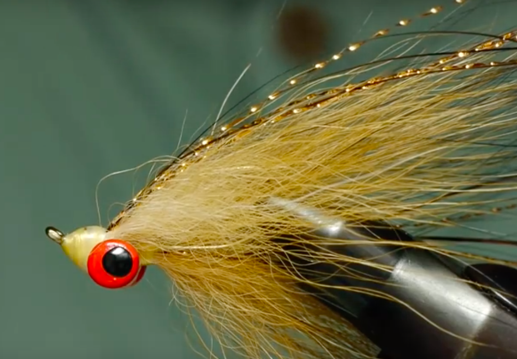 Thursday Tying Video Foxee Minnow