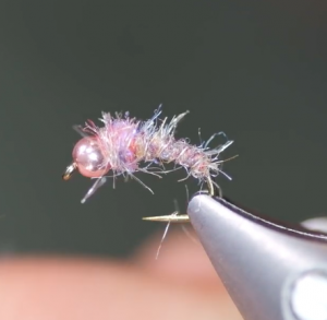 Bubble Yum Scud Tying Video