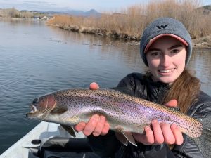 Here’s soon to be pre-med student Jesse Dewitt whacking fatties on the Mo over the weekend. Jesse is a fly fishing beast!!