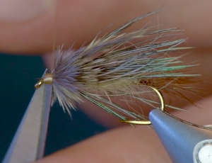 Trout Spey Flies @ Headhunters. Sparrow Tying Video