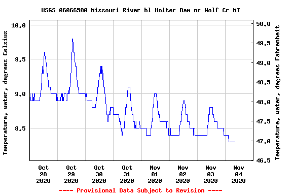 Wednesday November 4th Fishing Report